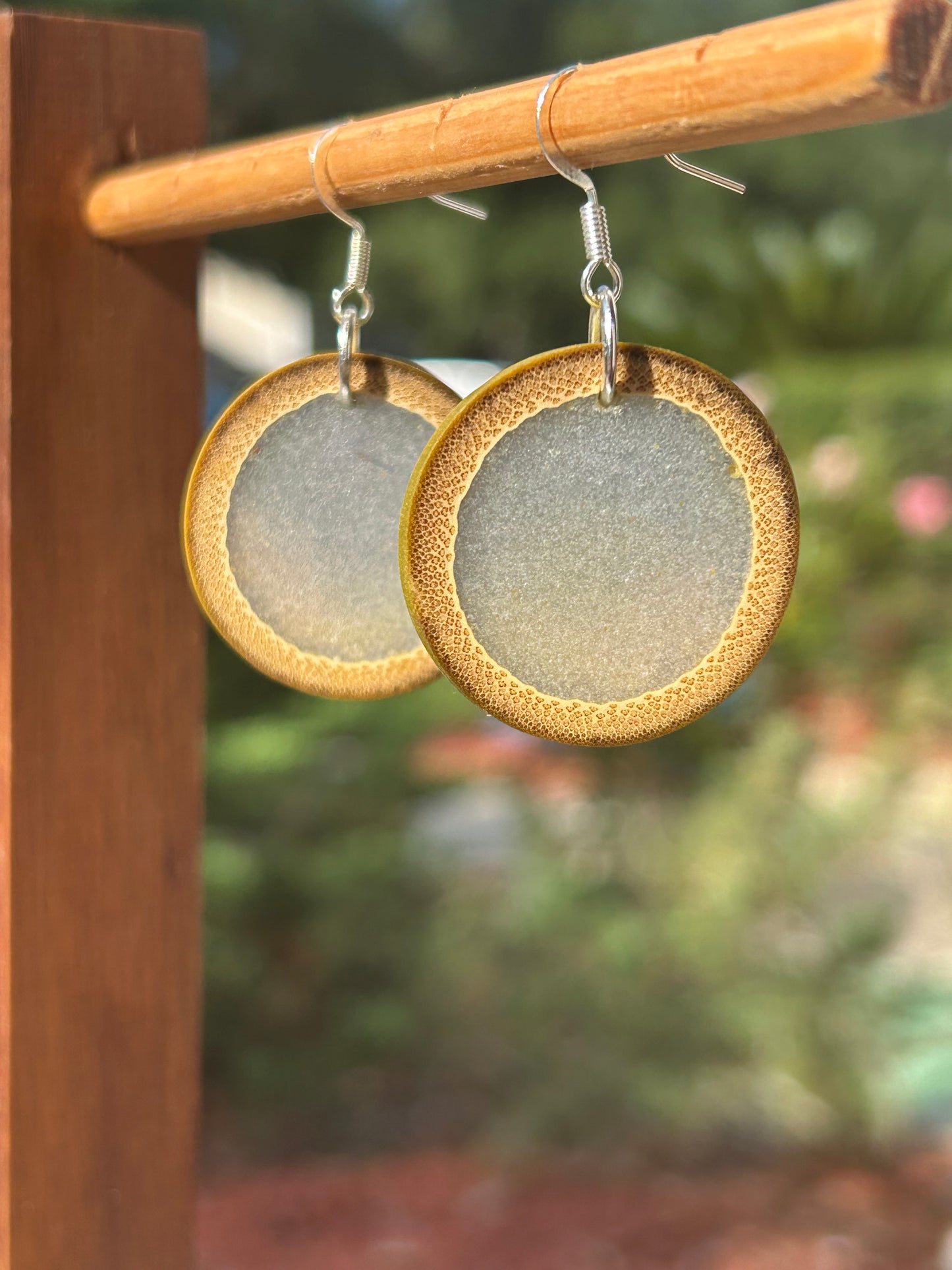 Bamboo Galaxy Earrings